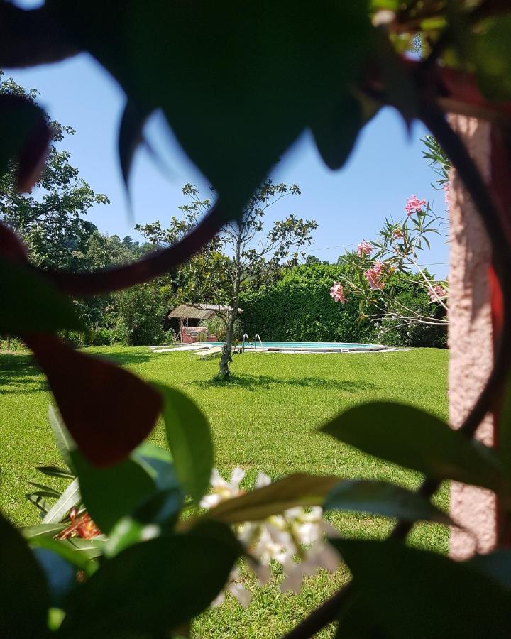 Casa Pilar Villa Capannori Ngoại thất bức ảnh